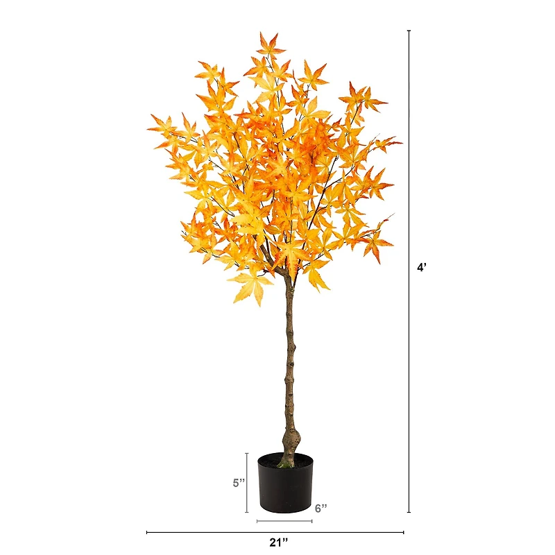 4ft. Potted Yellow Autumn Maple Tree