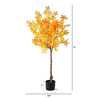 4ft. Potted Yellow Autumn Maple Tree