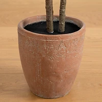 6ft. Rubber Tree in Decorative Planter with Real Touch Leaves