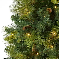 6.5ft. Pre-Lit North Carolina Mixed Pine Artificial Christmas Tree, Warm White LED Lights