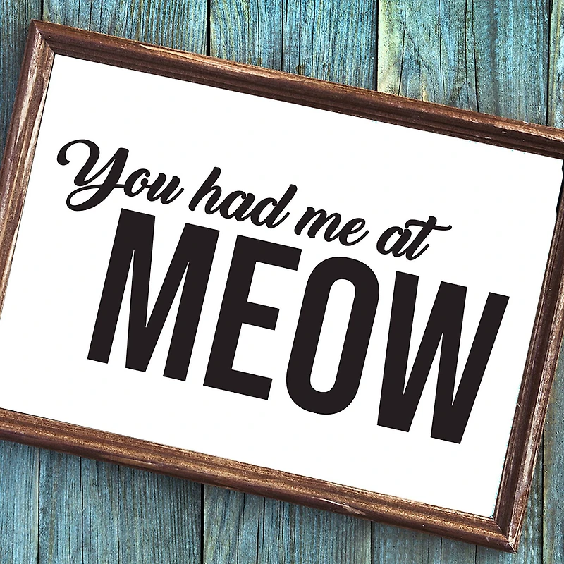 Leisure Arts® Vinyl Matte Black You Had Me at Meow Decal