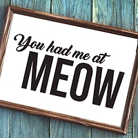 Leisure Arts® Vinyl Matte Black You Had Me at Meow Decal