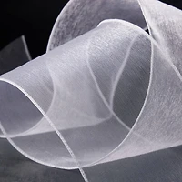 4" x 10yd. Sheer Wired Ribbon by Celebrate It® Specialty