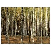 Designart - Green Fall Forest with Thick Trees