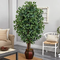 6ft. Ficus Tree with Decorative Planter