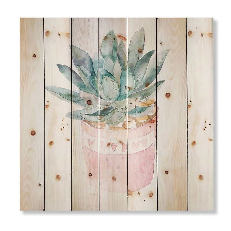 Designart - Cactus and Succulent House Plants II