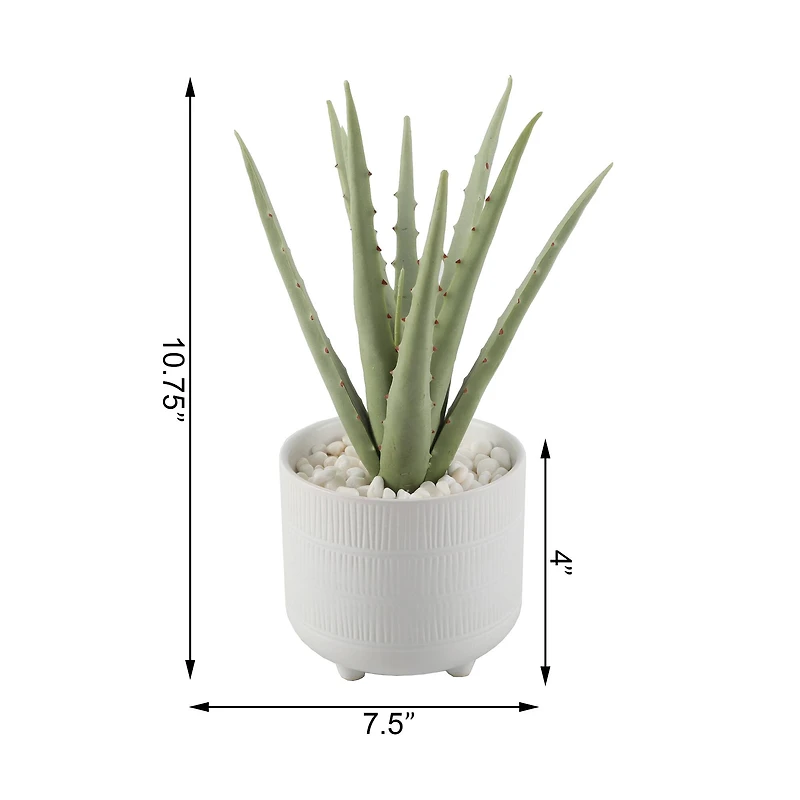 Flora Bunda® 10" Aloe In 5" Barcode Footed Ceramic Pot