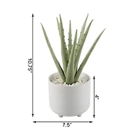 Flora Bunda® 10" Aloe In 5" Barcode Footed Ceramic Pot