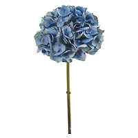 Hydrangea Flower Stem
