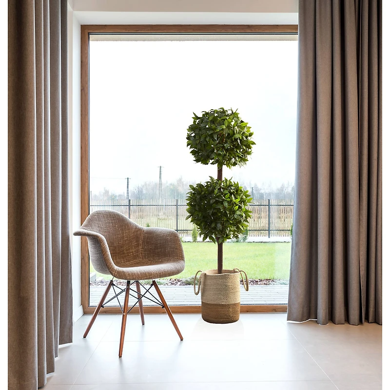 6ft. Potted Sweet Bay Double Ball Topiary Plant