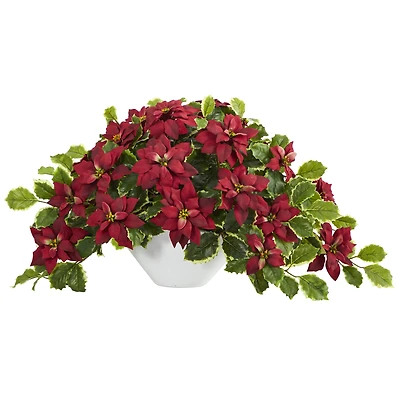 20" Poinsettia & Variegated Holly Plant in Oval White Planter