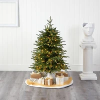4ft. Pre-Lit Vancouver Fir Artificial Christmas Tree, Clear LED Lights