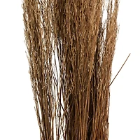 42" Brown Dried Natural Mustard Plant Foliage