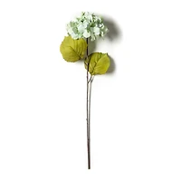 Seafoam Green Hydrangea Stem by Ashland®