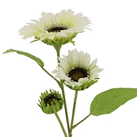 34" Cream Sunflower Stem by Ashland®