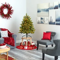 4ft. Pre-Lit North Carolina Fir Artificial Christmas Tree, Clear LED Lights