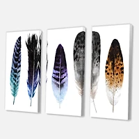 Designart - Colourful Boho Feathers II