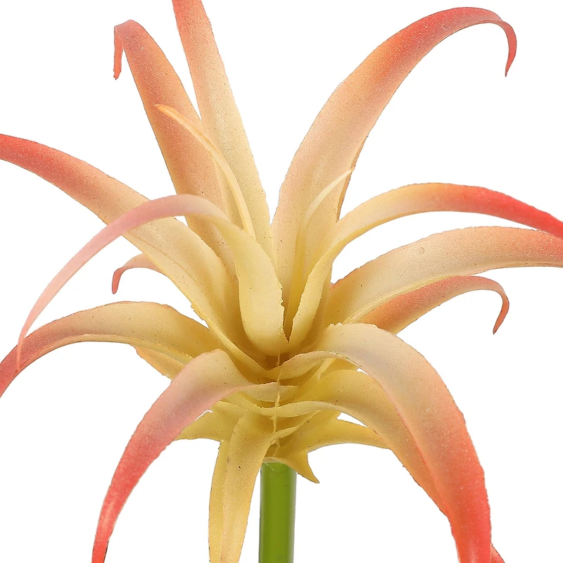 Assorted 7" Tillandsia Pick by Ashland®