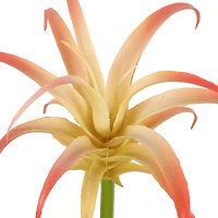 Assorted 7" Tillandsia Pick by Ashland®