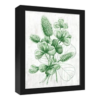 Clover Graphic Botanical Black Framed Canvas