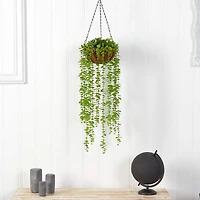 3ft. Eucalyptus Artificial Plant in Hanging Basket