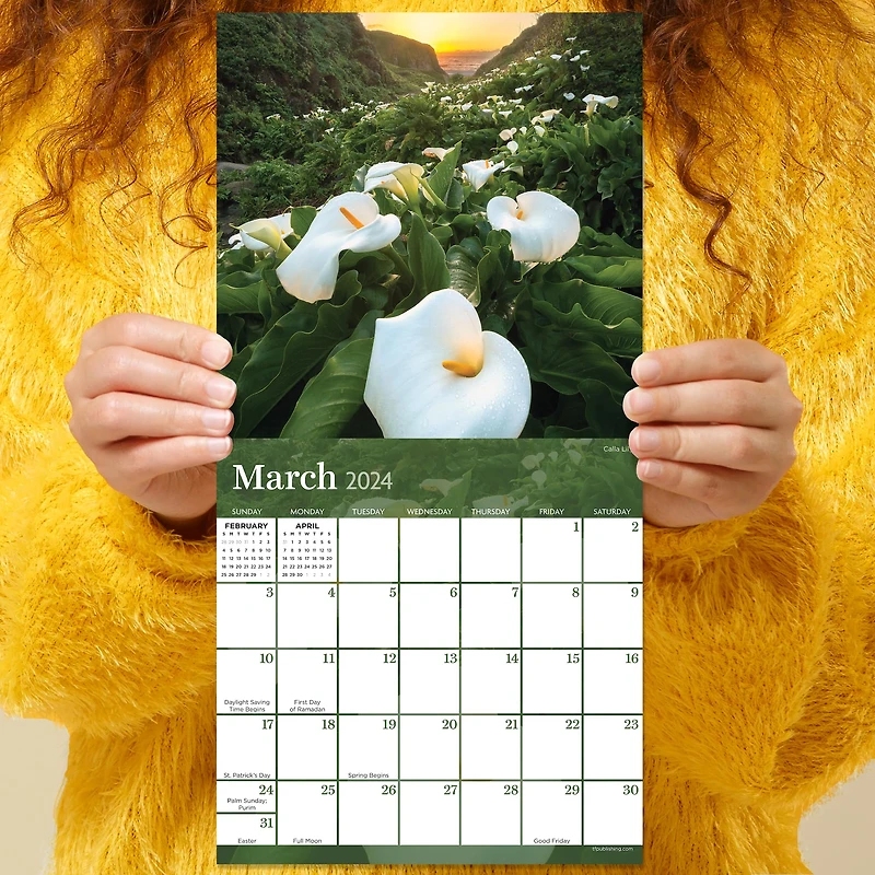 TF Publishing 2024 Flowers Mini Calendar