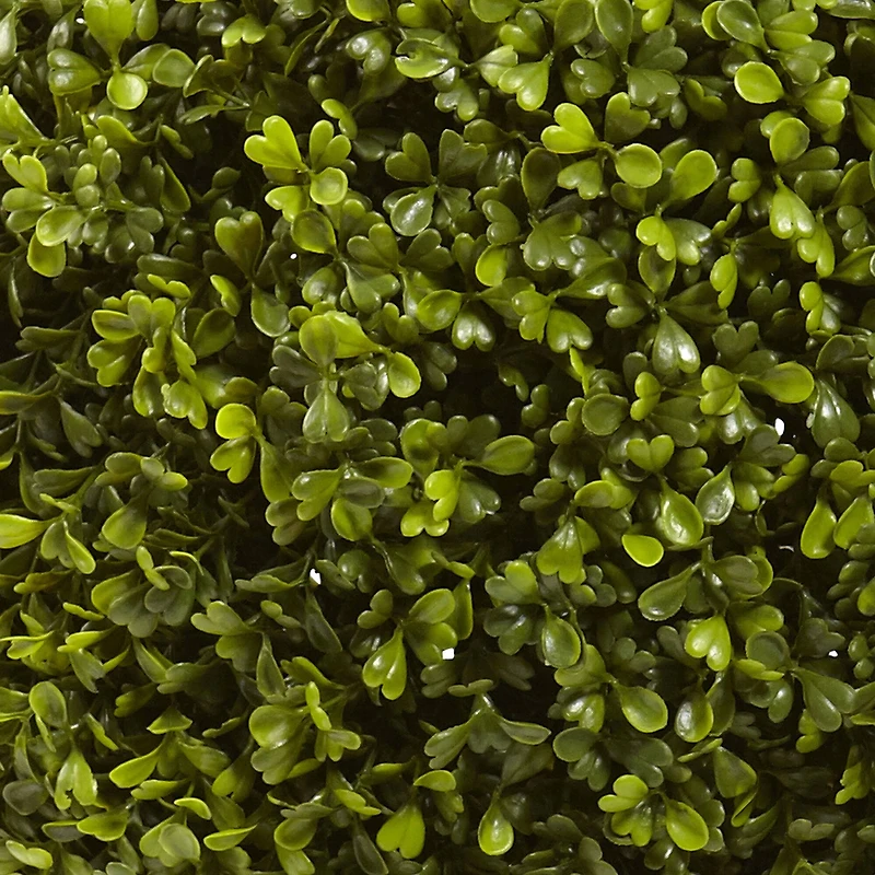 2.5ft. Potted Boxwood Ball Topiary Tree