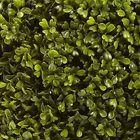 2.5ft. Potted Boxwood Ball Topiary Tree