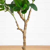 4ft. Artificial Audrey Ficus Tree