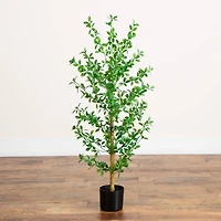4ft. Artificial Shady Lady Black Olive Tree