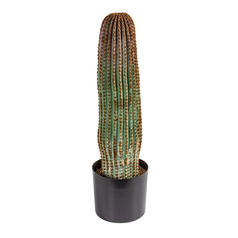 Hello Honey® Round Faux Green Vatricania Cactus in Plastic Pot