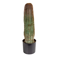 Hello Honey® Round Faux Green Vatricania Cactus in Plastic Pot