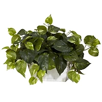 14" Pothos with White Wash Planter