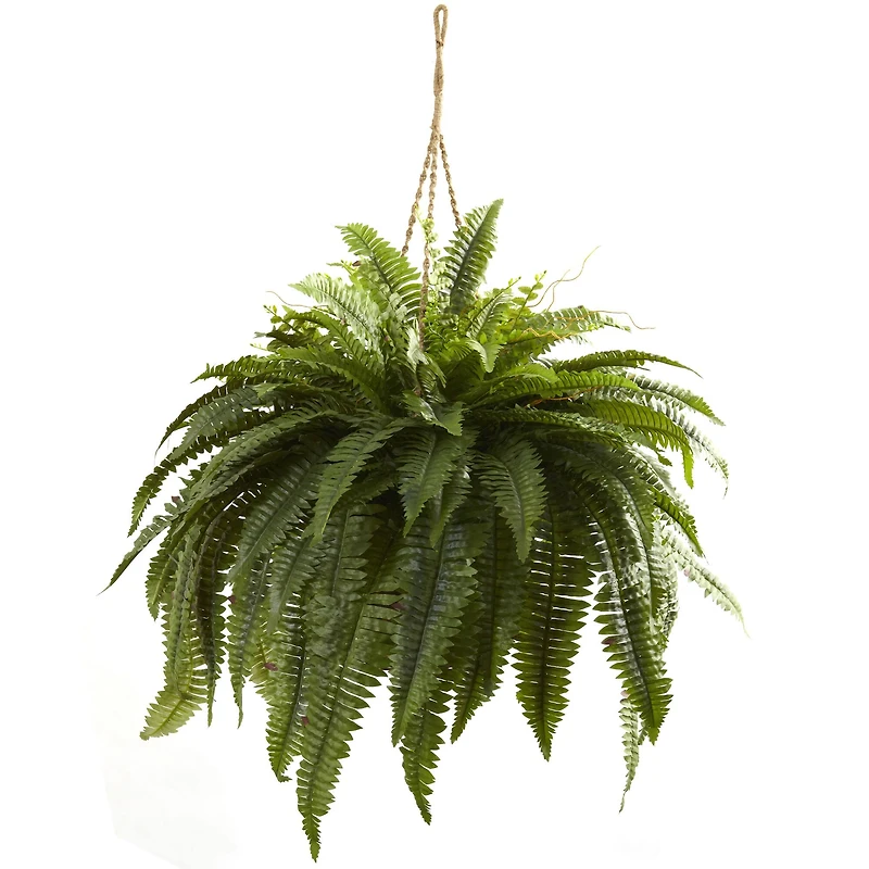 2.5ft. Double Boston Fern Hanging Basket
