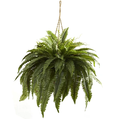 2.5ft. Double Boston Fern Hanging Basket