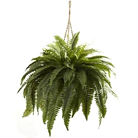 2.5ft. Double Boston Fern Hanging Basket