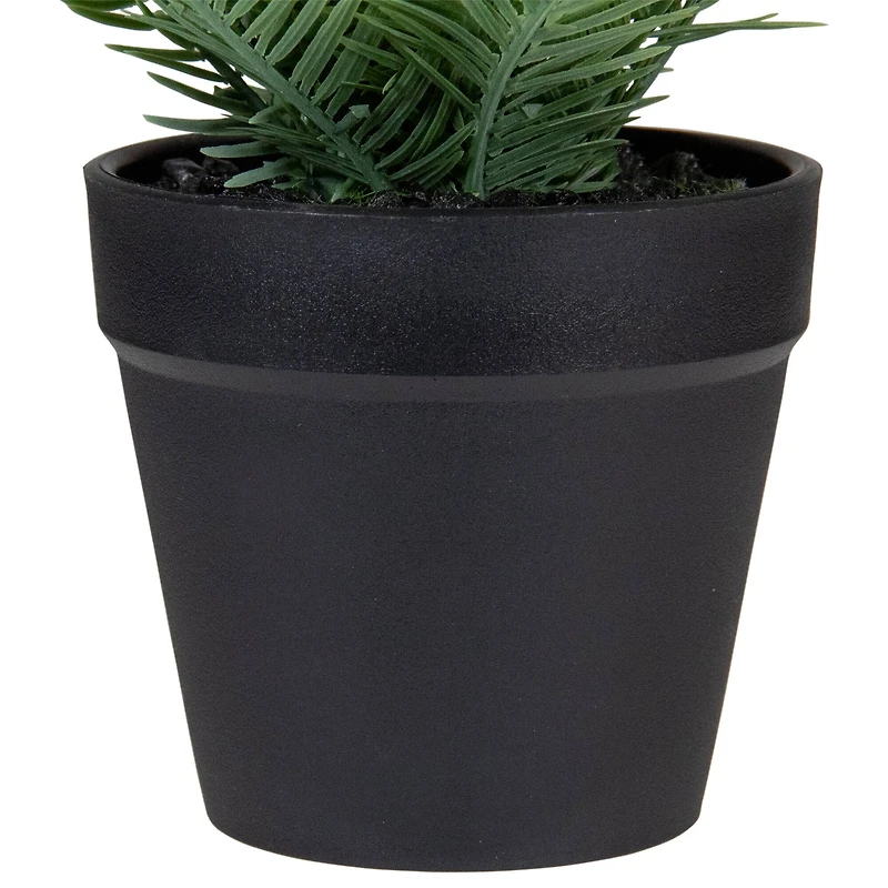 7.5" Green Chinese Yew Plant in Black Pot