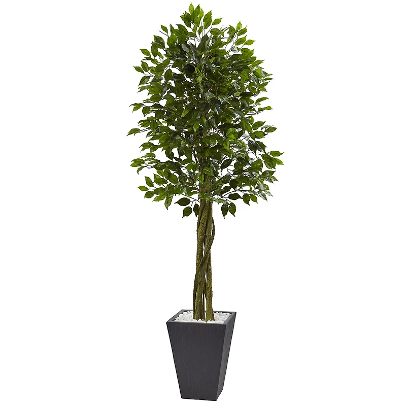 6.5ft. UV Resistant Ficus Artificial Tree in Slate Planter