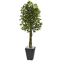 6.5ft. UV Resistant Ficus Artificial Tree in Slate Planter