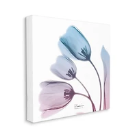 Stupell Industries Blue & Pink Opaque Tulip Canvas Wall Art