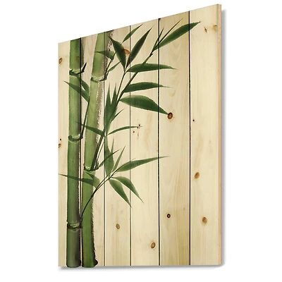 Designart - Detail of Dark Green Bamboo I - Traditional Print on Natural Pine Wood