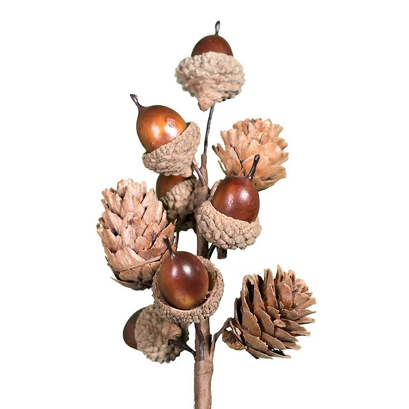 8" Acorn Pick by Ashland®