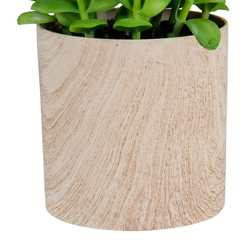 10" Green Privet Plant in Faux Wood Pot