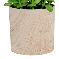 10" Green Privet Plant in Faux Wood Pot