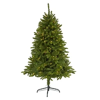 5ft. Pre-Lit Sierra Spruce Artificial Christmas Tree, Clear LED Lights