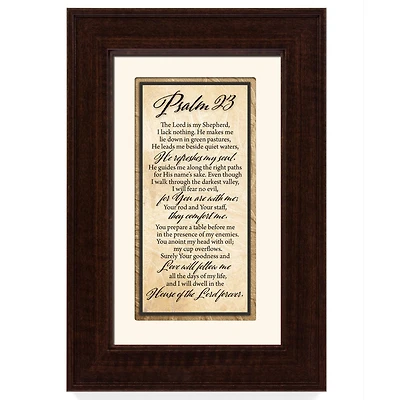 Psalm 23 Framed Art
