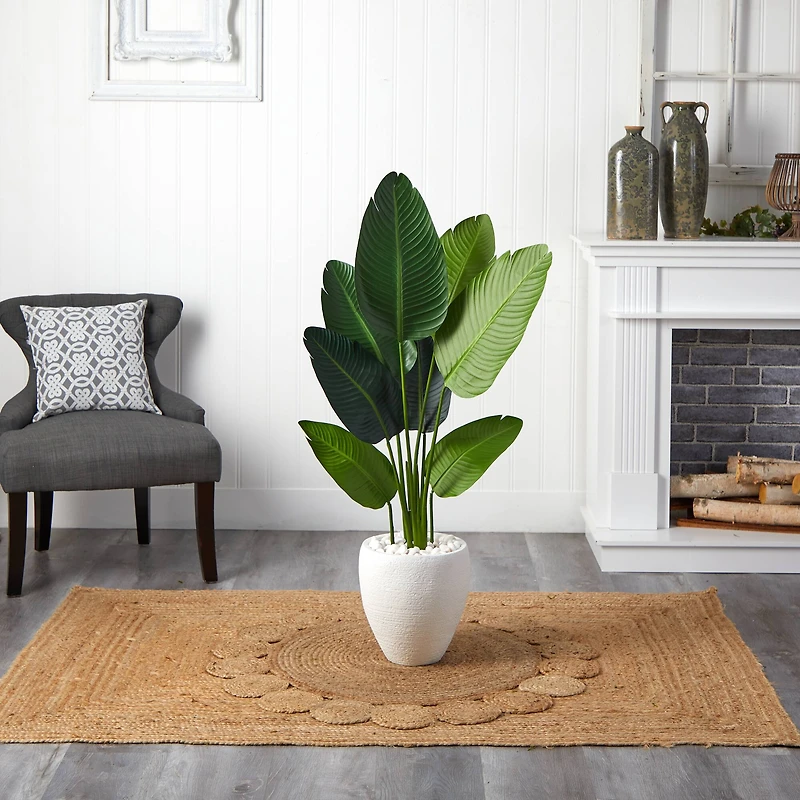 4ft. Travelers Palm Tree with White Oval Planter