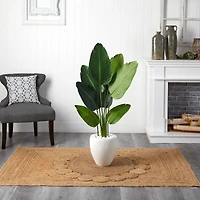 4ft. Travelers Palm Tree with White Oval Planter