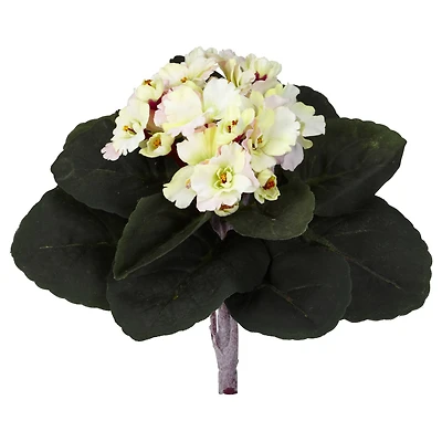 African Violet Pick, 6ct.
