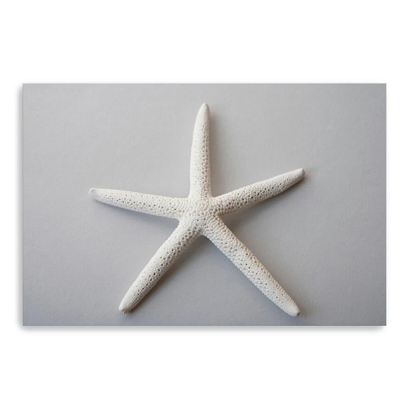Sand Star Canvas Giclee